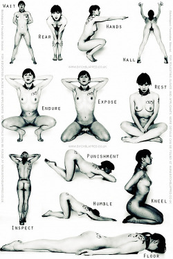 iambound2win:  truedomination88:  Study these my sub. You will be expected to perform all of these on command in the near future.   Yoga for the submissive girl?
