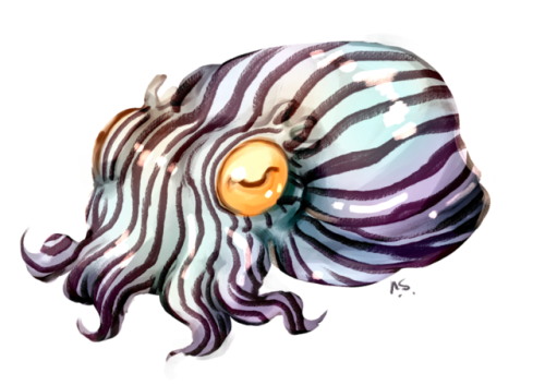 nightmaresyrup: Rare Home Doodle: Stripey Squid Pal Oops! I thought I posted this already! It’