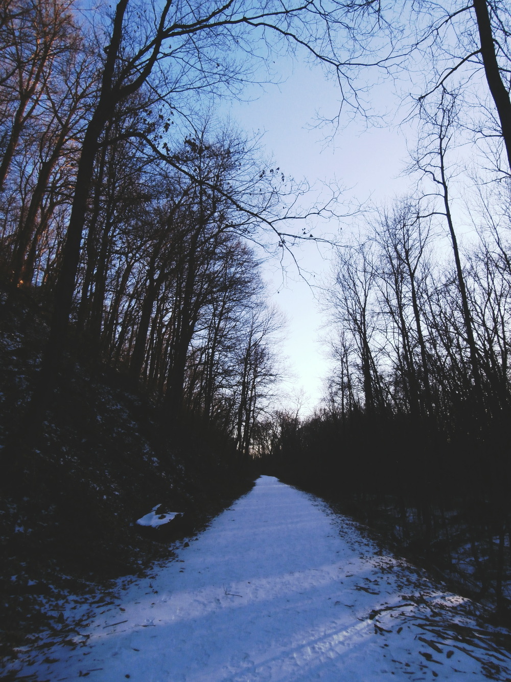 capturedbysam:  ► Sam Halladay