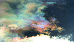 nubbsgalore:photos of cloud iridescence — caused as light diffracts through tiny ice crystals or water droplets of uniform size, usually in lenticular clouds — by rolf kohl. see also: circumhorizontal arcs, asperatus clouds, mammatus clouds, polar