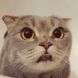cwunch:♡ brushie brushie