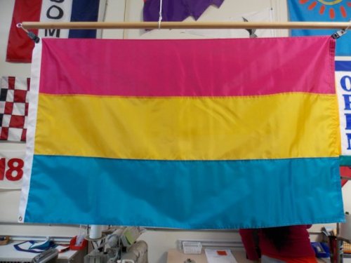 snootyfoxfashion: LGBTQIA+ Pride Flags from PrideFlagSDGay/Queer // Bisexual // Asexual // Lesb