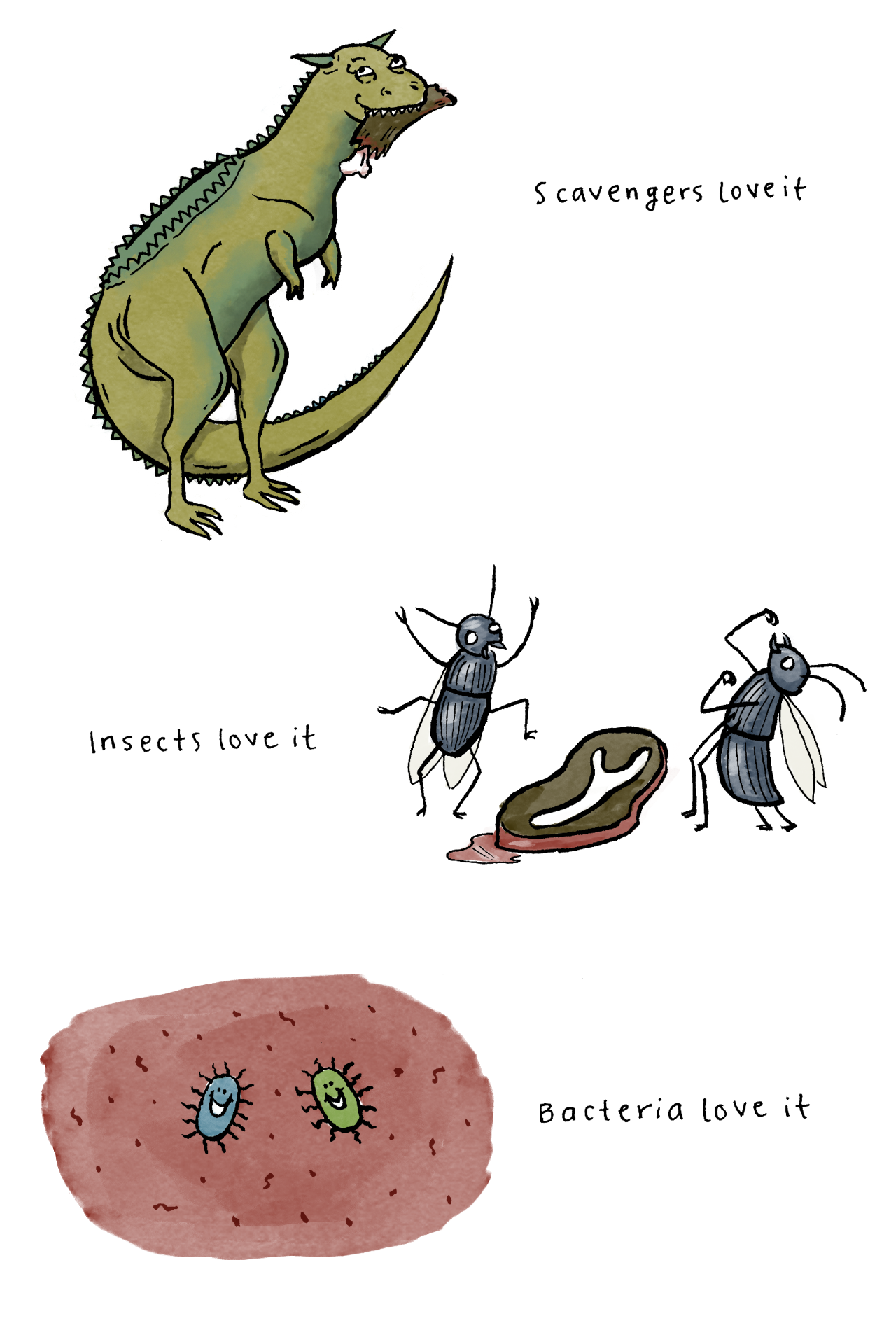 Fossils