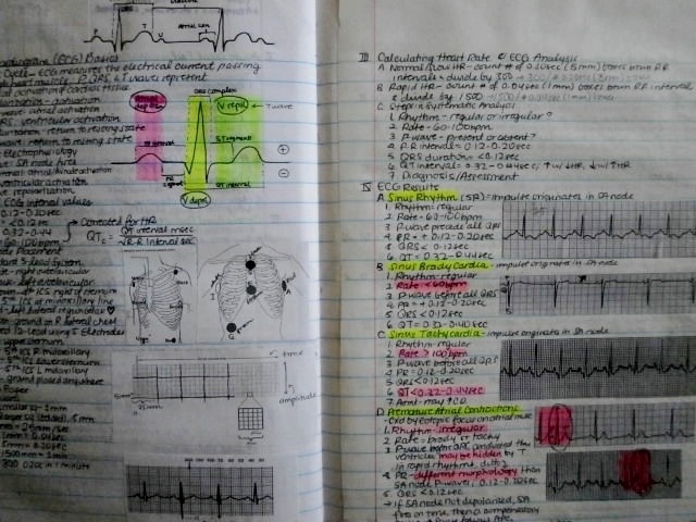 student-nurblr:telencefalon:A Nursing Student’s Notebook. Contains notes from my