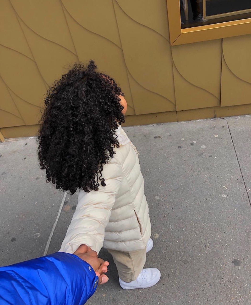 gyalskin:  📸: fannesthil 