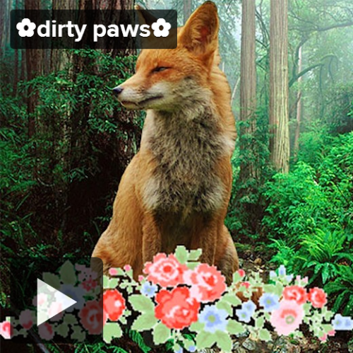 jethann:dirty paws - a mix to make you feel like your foresty self Listen hereOld Pine - Ben HowardT