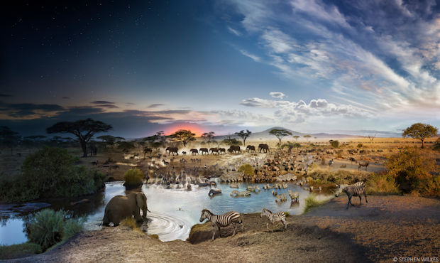 blazepress:  Day and Night, Stephen Wilkes. 