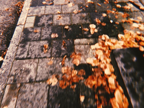 the sounds of crunchy autumn leaves on cobblestonesthe smell of rain after a thunderstorm Some 