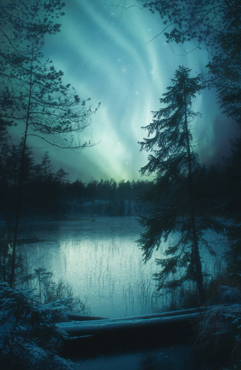 satakentia:Northern Lights, Finland by Petri Salonen