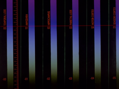 anatomy-lesson: Neon Genesis Evangelion. Episode 22. “せめて、人間らしく At least, be human / Don&