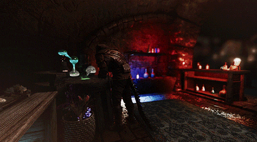 FACTIONS OF SKYRIM IV. The Thieves Guild