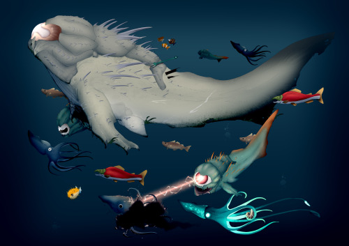 GuardiansThese primitive fish are some of the largest known species inhabiting the ocean. It’s