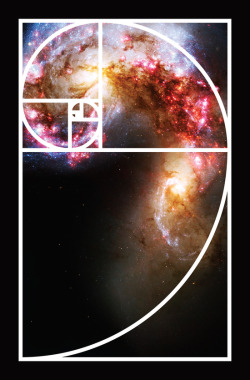 artagainstsociety:  Fibonacci Spiral Galaxy by Galactic Mantra