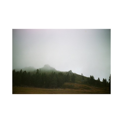 benjamindodd:more oregon, film.