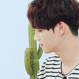 jypnior:jaebum oppa~