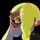 frogcrimes:  