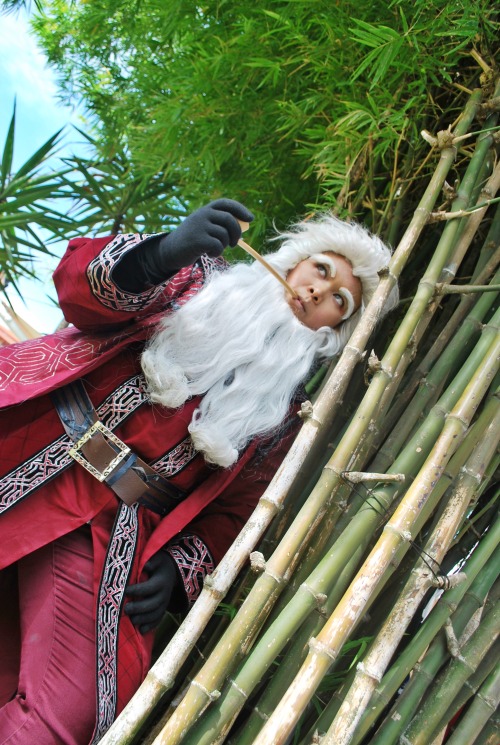 Balin costume made by pinkcatofsyah. Pics courtesy of DMsasaki and The Darkroom of Dreams.