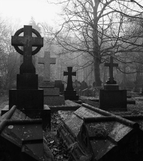 errur.tumblr.com/post/164687499218/