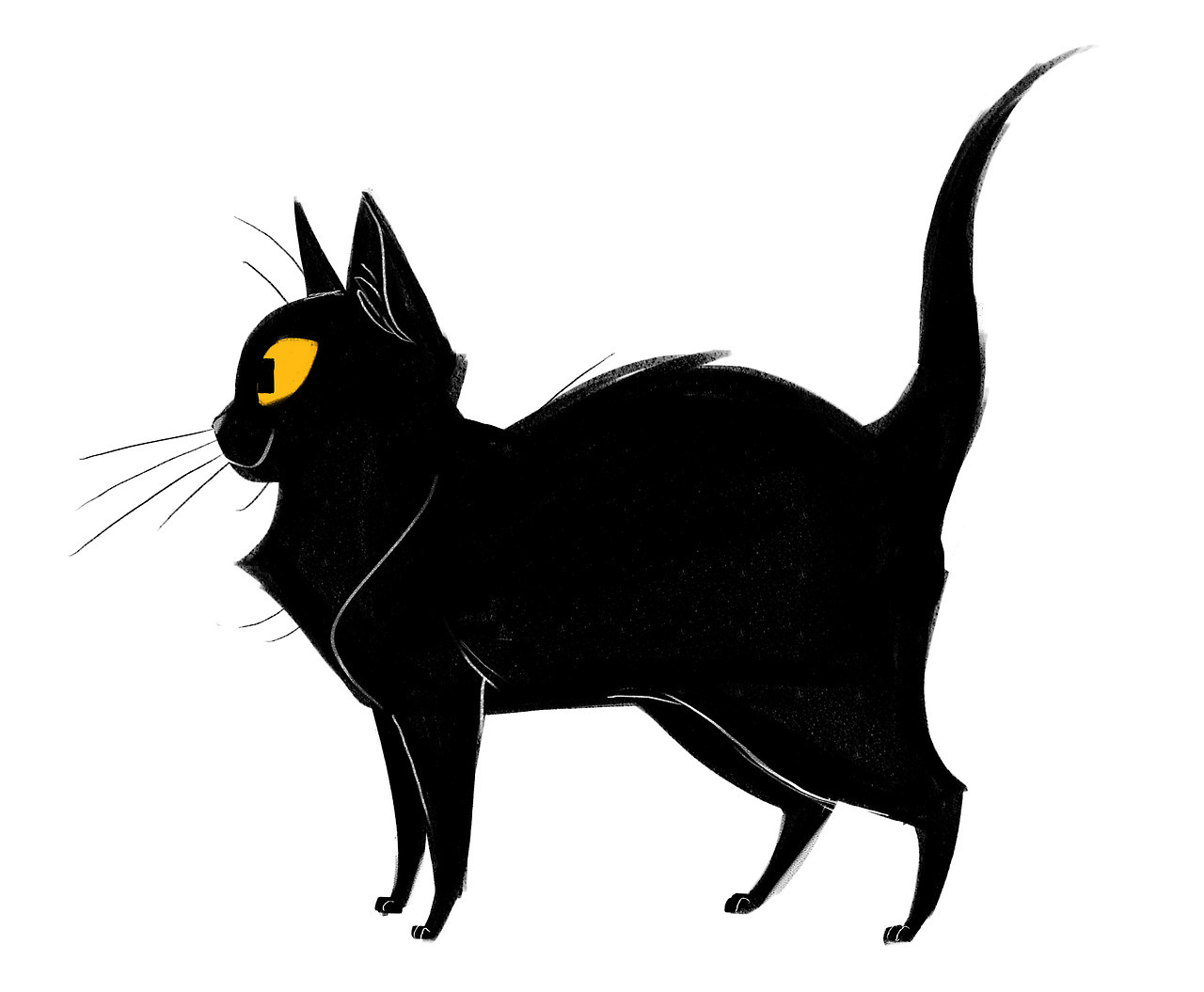 Daily Cat Drawings