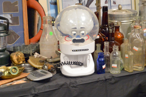 randomencounters:shiftythrifting: Brian Brain is not impressed with your dusty glass bottles. Encoun