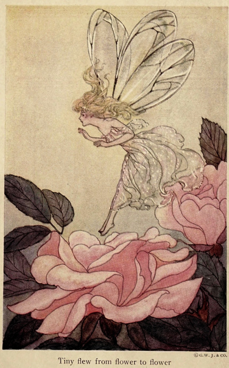 thefugitivesaint:Elenore Plaisted Abbott (1875-1935), “Fairy Tales” by Hans Christian Andersen, 1917