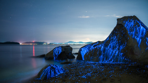 sixpenceee: The Weeping Stones Created with bio luminescent shrimp found in the Seto Inland Sea in O
