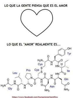 vivoconmilsentidos:  El amor es esa reacción