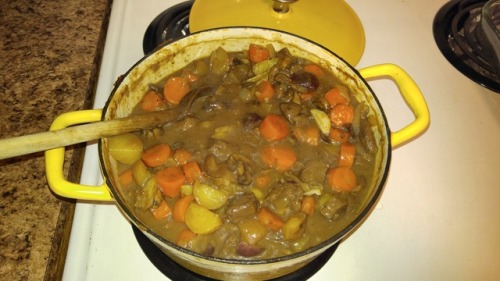 dontpanicdent: Guinness Venison Pie Friday I made a meat pie! I had cubed venison steak sitting in G