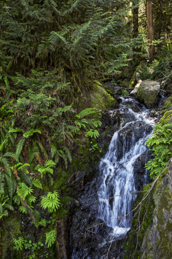 the-ravens-song-photography:  Small Waterfall