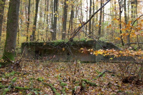 diekellerkinder: Cooke Barracks - or what’s left of it.  The Cooke Barracks were home to many, many US soldiers during Germany’s occupation era after WW2 - and if you go by their “fan website” most of them had the time of their lives there. Cooke