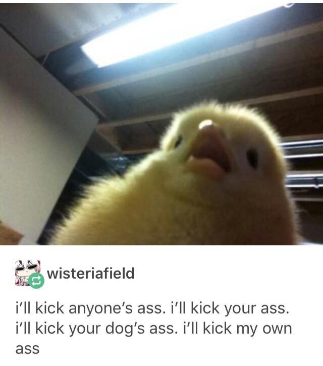 wilfcrd:  actual image of mark rn