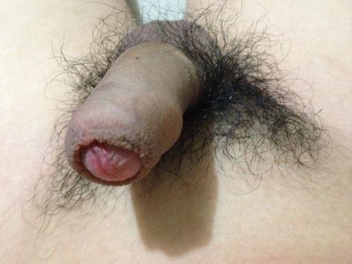 chinesedick:  submit 投稿 by sexbooo More Chinese dick! Pls follow Chinese Dick Madfia http://chinesedick.tumblr.com/ 大陆地区投稿发送到：cndick2013@qq.com （仅限自己自拍或偷拍的原创照片，清晰，大图，3张以上，可以不露脸，但必须有露鸟。合格投稿可免费获得知名男体杂志tmf电子版[正版每期价值5.95美金]，邮箱投稿每周审核。杂志将发送至你投稿的邮箱。）