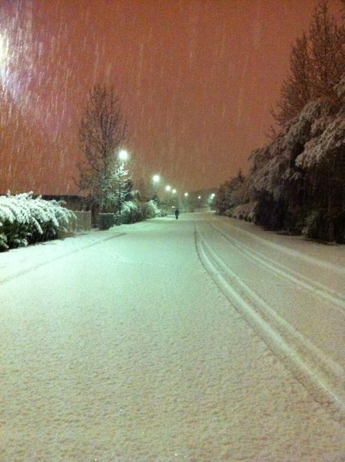 bluepueblo:  Snowy Night, Toronto, Canada photo via connie