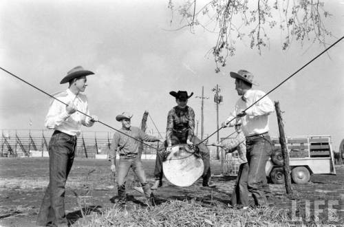 University of Texas - Charros Round-Up Rodeo(Thomas McAvoy. 1958?)