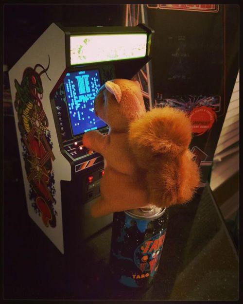 Arcade squirrel loves to play CENTIPEDE!! Produced in 1981 by @atari it was one of the most commerci