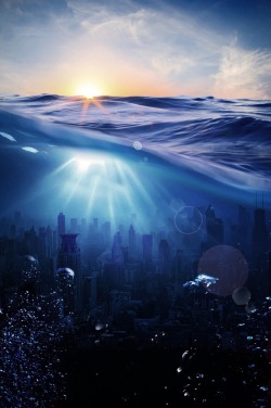 0ce4n-g0d:  Sea/underwater world by Sander