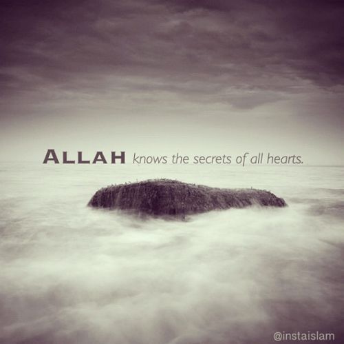 Allah Knows the Secrets of All Hearts“Allah knows the secrets of all hearts.”
www.IslamicArtDB.com » Photos » Photos of Fog and Mist
Originally found on: fatihahh