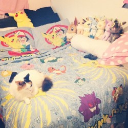 shy-town:  I love my bed &lt;3  The post that made me spontaneously buy Pokemon sheets for my bed!!!