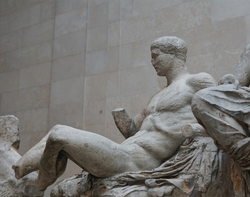 darkmacademia:the parthenon sculptures / british museum, london