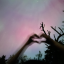 stormyovent0aster