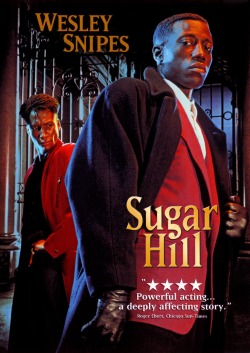 20 Years Ago Today |2/25/94| The Movie Sugar Hill Is Released In Theaters.