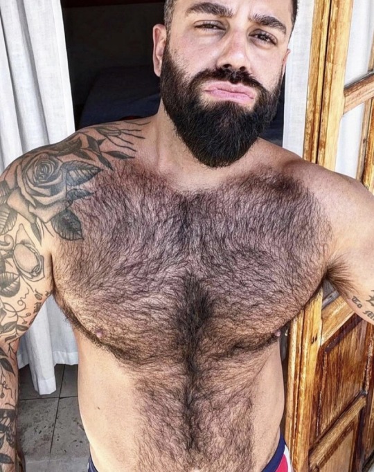 Hairy Mature Guys