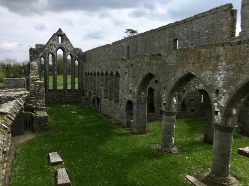 Ardfert Abbey, Ireland