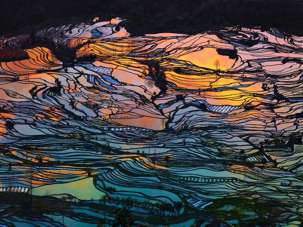 archatlas:    Beauty Paddy of China Thierry BornierThe Hani Rice Terraces, covering