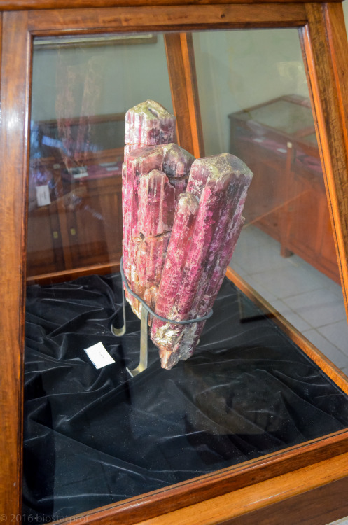 biostatprof:Crystals from the Geology Museum in Maputo, Mozambique. It’s not a large museum. We esca