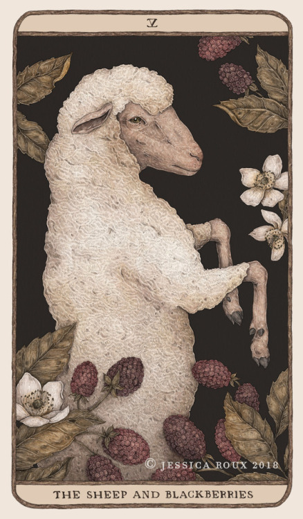 A new card for Woodland Wardens, my in-progress oracle deck series, the Sheep and Blackberries. You 