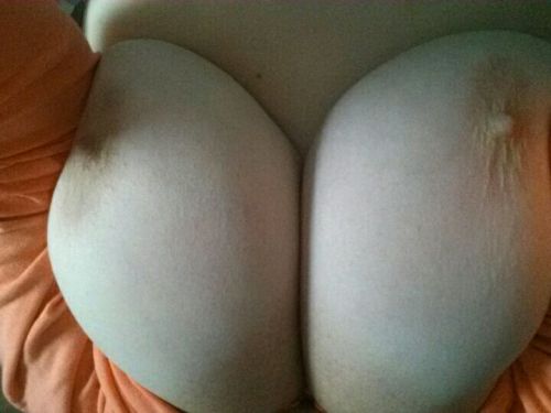 lndsay90:  Some random pics from around the house today #boobs #ass