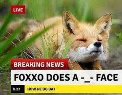 everythingfox: The only news that really