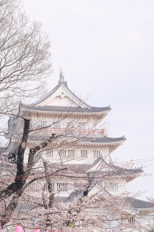 Porn Pics yudoku:   cherry bright sky by Hideya HAMANO