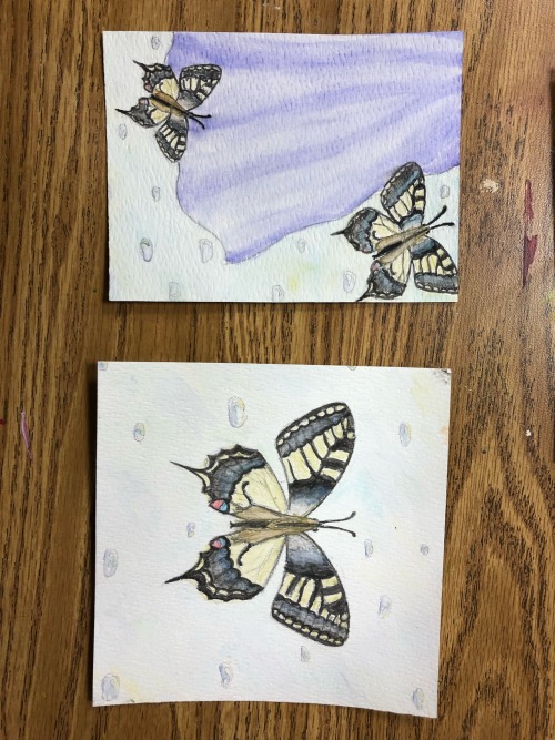 Sorry For Never Posting! Heres Some Butterflies I Painted For A Project.